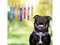 愛犬への特別なギフトに「4dox」の“世界にひとつのカスタムシリーズ”を贈ろう