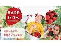 【岡山県西粟倉村】クリスマスからいちご狩りができる！岡山県北・鳥取エリアでいち早く予約スタート