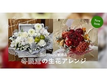 お祝い花販売プラットフォームSakaseruの人気アレンジに冬限定カラー登場！新商品も