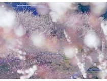 「和歌山 Well-being Month 2026」開催！自然や文化などを通じてウェルビーイング体感