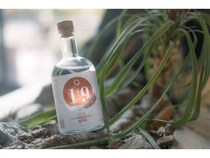 甲州ぶどうを使った「山梨県ジン」誕生。ご当地クラフトジン第15弾は山梨県！