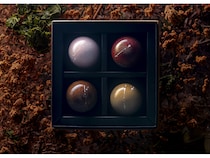 【奈良県奈良市】Petit Marujuが新作ショコラアソート「やわらかな土の詩」を発表、来年発売へ