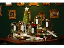 韓国発“森の呼吸”を感じるプラントオブジェブランド「huhuru」が日本に上陸！蔦屋書店3店舗で先行販売