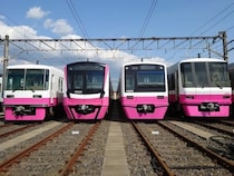 【千葉県】新津田沼駅から貸切列車で行く「ジェントルピンク4車種 撮影会inくぬぎ山車庫」開催！