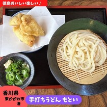 【香川県東かがわ市】手打ちうどん もとい