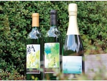 樹齢110年の原木・三森甲州から枝分けした葡萄を醸造！希少な「三森甲州」ワイン発売