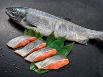 【北海道札幌市】札幌駅チカホで「第3回 鮭漁師祭り」開催！鮭いくら丼100食無料提供