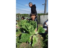 【島根県松江市】島根県立大学短期大学部がキャンパス内の「こっそり畑」で親子体験イベントを開催