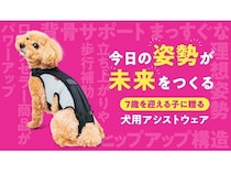 シニア犬の姿勢や背骨をサポートするアシストウェア「わんコルLIFE」先行販売！