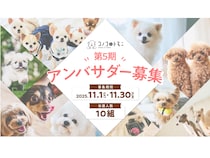 ドッグフードブランド・コノコトトモニが第5期公式アンバサダーをInstagramで募集中