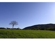 【北海道浦河町】引退馬たちの魂が安らかに還る「うまのふるさと」創設を目指し、クラファン実施中！