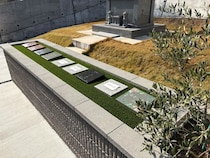 【大分県杵築市】樹木葬墓地「樹木葬 いのり和」が開園9カ月で契約者継続増加。新しい供養の形を提供