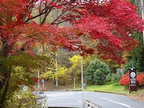 【岐阜県恵那市】「恵那峡もみじまつり」開催。紅葉はもちろん、マルシェや音楽ステージも