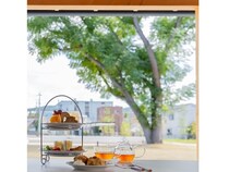 【京都府京都市】南岩本公園内の「The Paddock Cafe」で、乗馬や餌やり体験イベントを開催