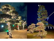 【神奈川県座間市】光の中で打つ！ZAMAGOLFで座間の夜を彩る新感覚ゴルフイルミネーションを限定開催