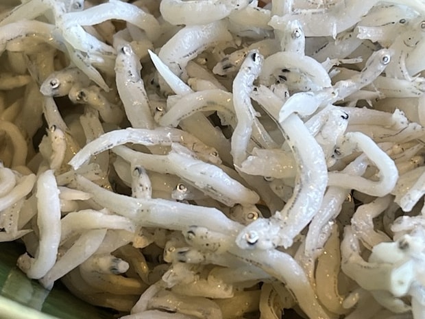 釜揚げしらす1-4