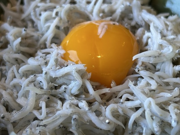 釜揚げしらす1-5-2