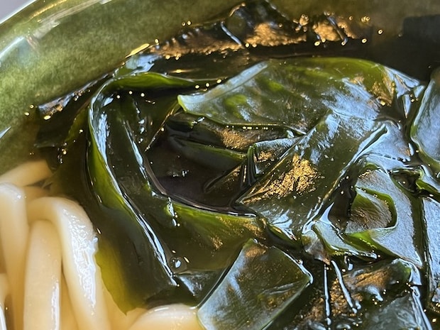 しらすうどん1-4-9