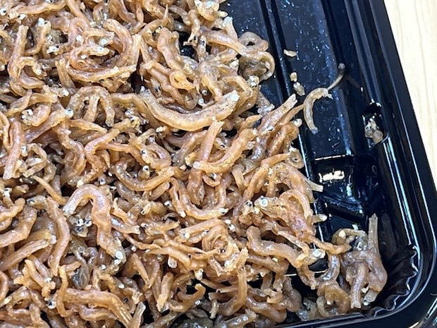 ❸山椒ちりめん国産1-2-1