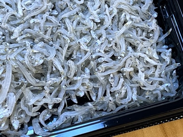 ❷瀬塘内海産ちりめん1-2-1