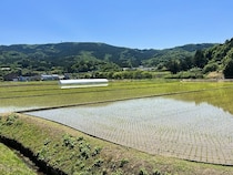 【茨城県石岡市】半日で移住のヒントが見つかる「石岡暮らし体験」開催！街・人・暮らし方の魅力を体感