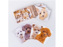 全6種のカードゲーム『わんにゃんあわせ』に新作トイプードルが仲間入り！