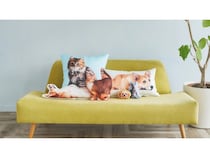 自分だけのオリジナルペット商品が作れるサイト「うちの子グッズPaw ＆ Fabric」。写真を送るだけ！