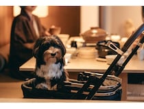 【山口県下関市】温泉旅館「川棚グランドホテルお多福」はチェックインから食事まで愛犬と過ごせる！