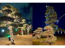 【神奈川県座間市】光の中で打つ！ZAMAGOLFで座間の夜を彩る新感覚ゴルフイルミネーションを限定開催