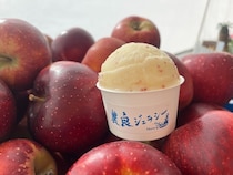 【山梨県笛吹市】nouto工場直売所にて津金のりんごを使ったジェラート「農良ジェラシー 津金の乙女」販売中