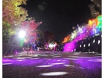 【愛媛県松山市】えひめこどもの城で光のイベント「フェスタ・ルーチェ」開催中！クリスマスイベントも