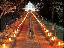 【北海道北斗市】トラピスト通り並木道をライトアップ。キャンドルの光も加わり美しいクリスマス空間に