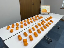 野菜ソムリエが選ぶ「第5回全国みかん選手権」で和歌山県の「ゆら丸」が最高金賞受賞