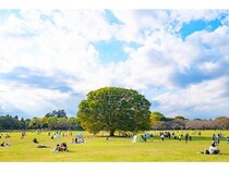 【東京都立川市】音楽やアート、食などを通しまちに新しい流れを作る市民団体「Raise the STREAM」発足