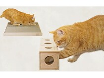 岩手県大船渡市山林火災の被災木を活用したネコ用おもちゃと爪とぎが新登場