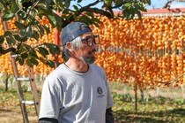 【取材レポート】「奇をてらわず王道の味を守る」上山の風土と、須田青果園の紅干し柿