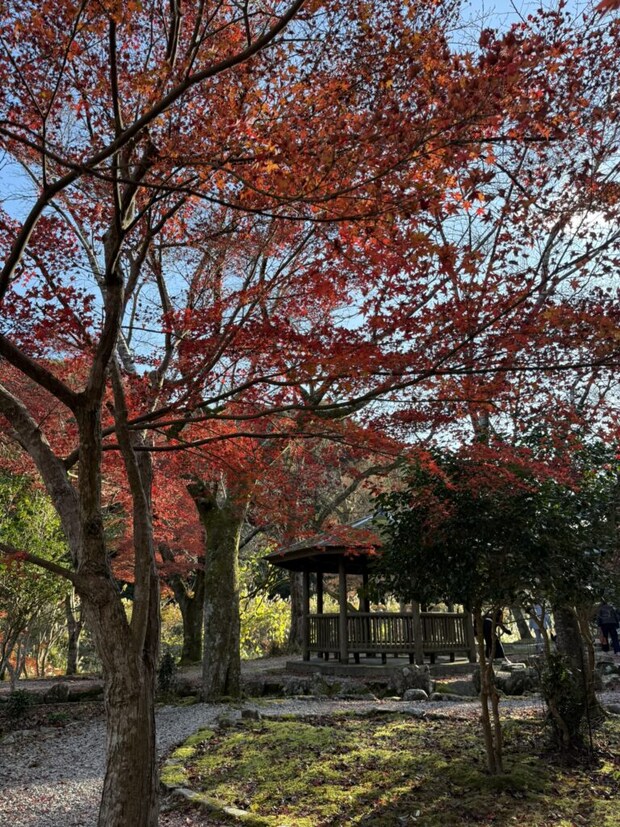 大寧寺の境内と紅葉の写真。