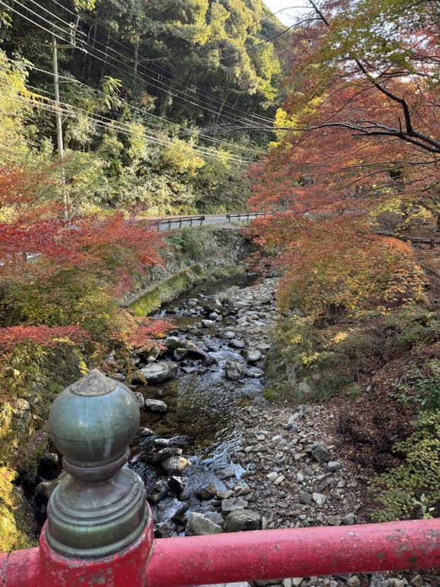 大寧寺の紅葉と川の写真➁。
