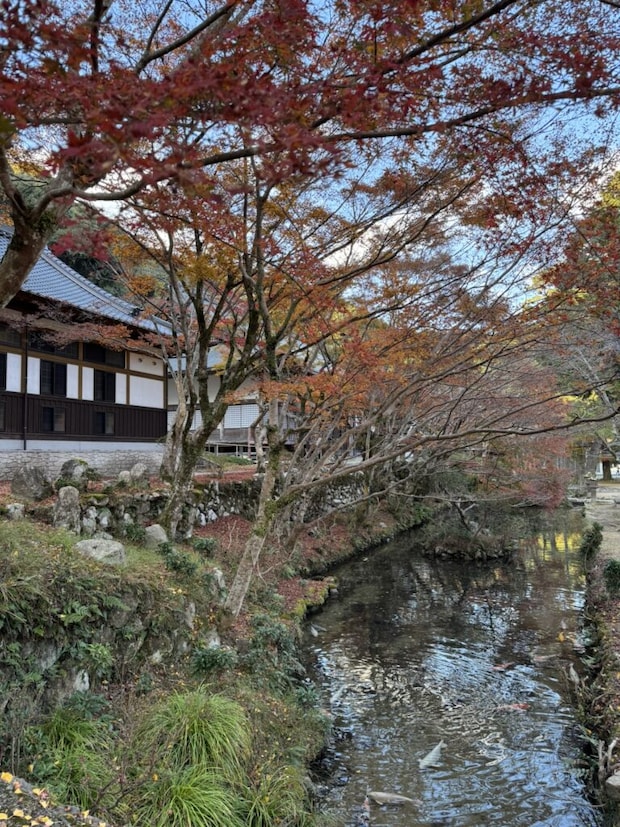 大寧寺の紅葉と池の写真。