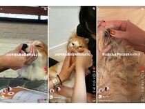 ペットの鼻紋を刻むimprimo メモリアルジュエリーがSNSで話題！リール再生500万回突破