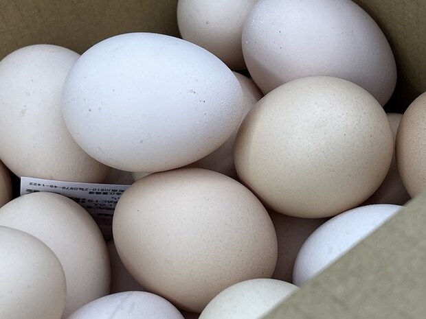 🥚1-1-2