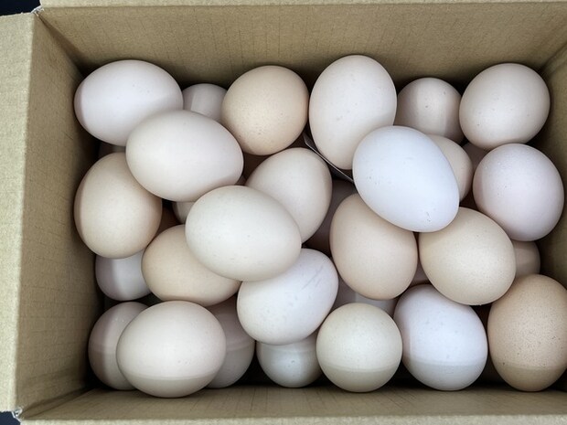 🥚