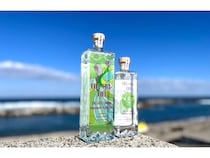 石川県能登や富山県新川の素材を使ったクラフトジン「CHA-CHA-CHA」が登場！