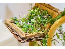 「日本フラワーデザイン大賞2025」の作品を無料で鑑賞できる一般公開開始！特典も用意