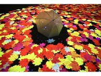 【北海道上川町】層雲峡温泉にて“日本一早い紅葉”が光のアートに染まる「奇跡のイルミネート」開催