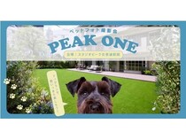 【東京都渋谷区】ペットと家族の特別な1枚が撮れる「PEAK ONE」の第2回開催決定！