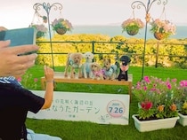 【静岡県伊東市】大規模樹木葬霊園「はなうたガーデン-伊東-」で、「ワンちゃん散歩会」を開催