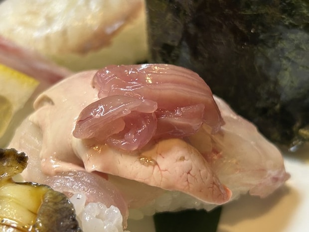 サザエカワハギ1-3