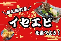 【豊漁】南三陸町でイセエビを食べよう！ ※9/19更新