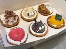 保護猫カフェ「ねことカフェ｜大阪天王寺店」が、クラファンで美味しい支援第2弾START